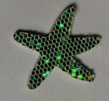 Seestern grün irisierend